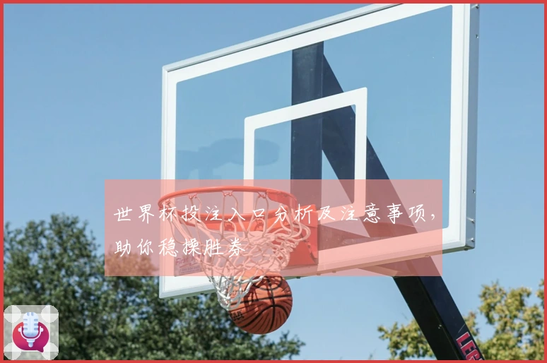 世界杯投注入口分析及注意事项，助你稳操胜券