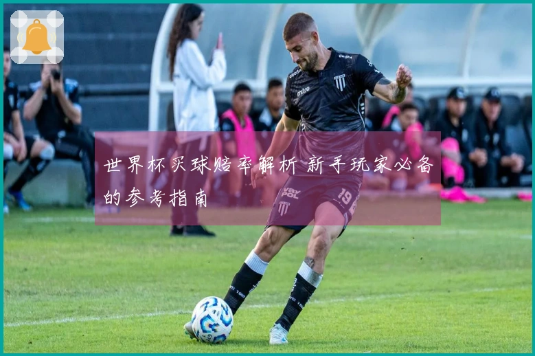 世界杯买球赔率解析 新手玩家必备的参考指南