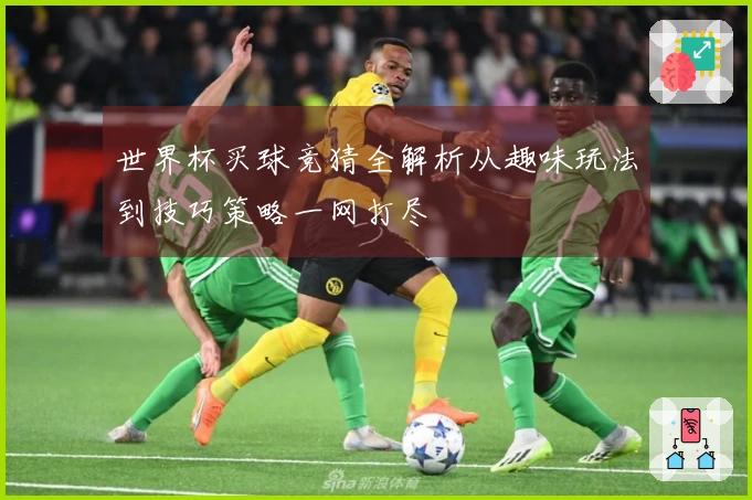 世界杯买球竞猜全解析从趣味玩法到技巧策略一网打尽