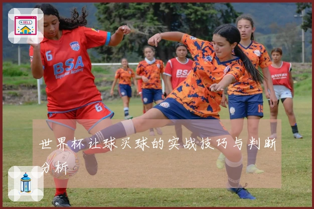 世界杯让球买球的实战技巧与判断分析