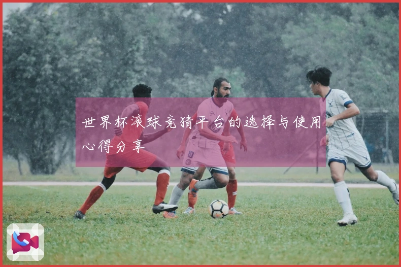 世界杯滚球竞猜平台的选择与使用心得分享