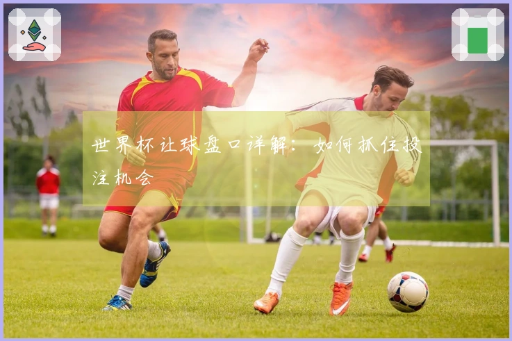 世界杯让球盘口详解：如何抓住投注机会