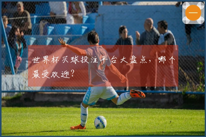 世界杯买球投注平台大盘点，哪个最受欢迎？