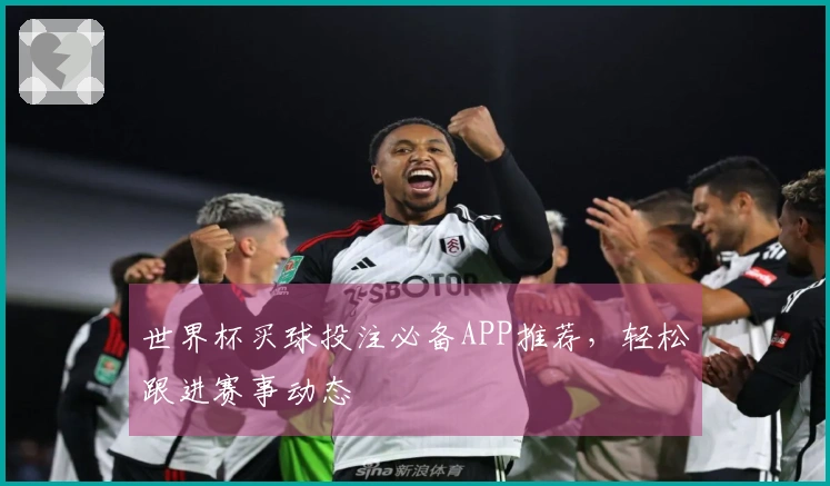 世界杯买球投注必备APP推荐，轻松跟进赛事动态