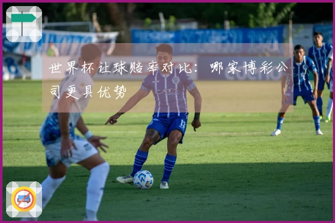世界杯让球赔率对比：哪家博彩公司更具优势