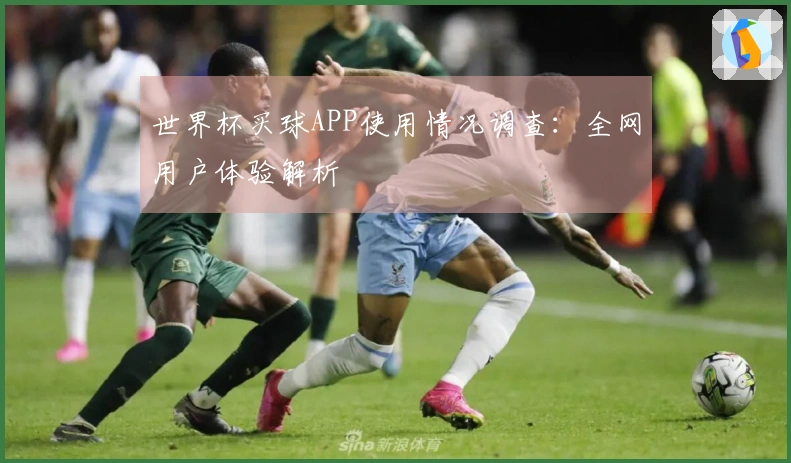 世界杯买球APP使用情况调查：全网用户体验解析