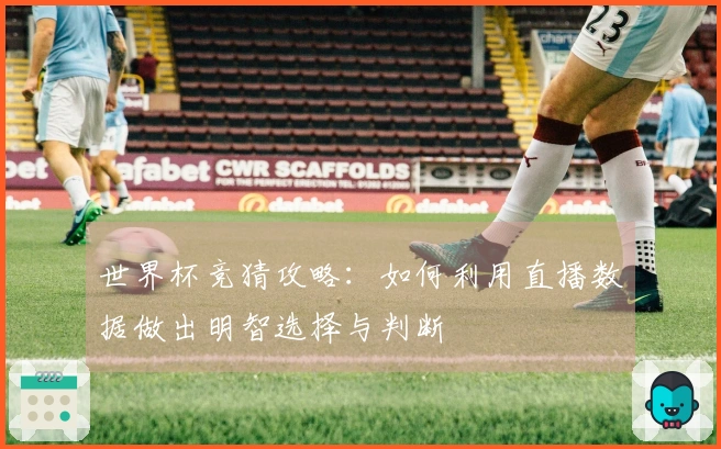 世界杯竞猜攻略：如何利用直播数据做出明智选择与判断