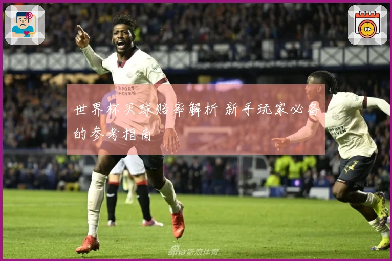 世界杯买球赔率解析 新手玩家必备的参考指南