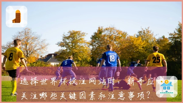选择世界杯投注网站时，新手应该关注哪些关键因素和注意事项？