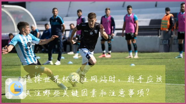 选择世界杯投注网站时，新手应该关注哪些关键因素和注意事项？
